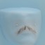 Original John Blake film quality costume human facial hair mustache light grey Pencil Thin